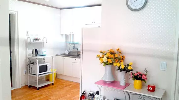 Alpha Guesthouse | Gyeonggi - Seul (ve civarı) - Mapo