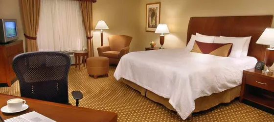 Hilton Garden Inn Toronto/Vaughan | Ontario - Vaughan