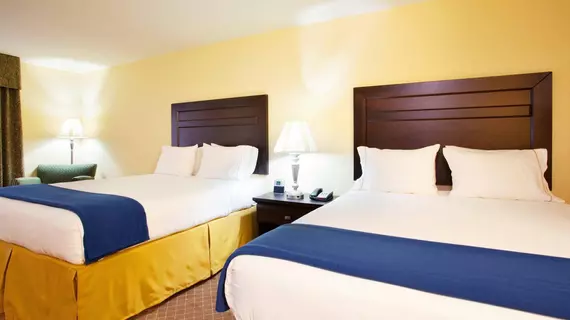 Holiday Inn Express Hotel & Suites Chicago South Lansing | İllinois - Lansing