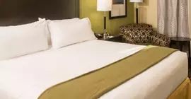 Holiday Inn Express Hotel & Suites Huntsville West - Research Park | Alabama - Huntsville (ve civarı) - Huntsville