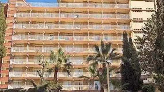 Hotel Gala Placidia | Valencia Bölgesi - Alicante (vilayet) - Marina Baja - Benidorm