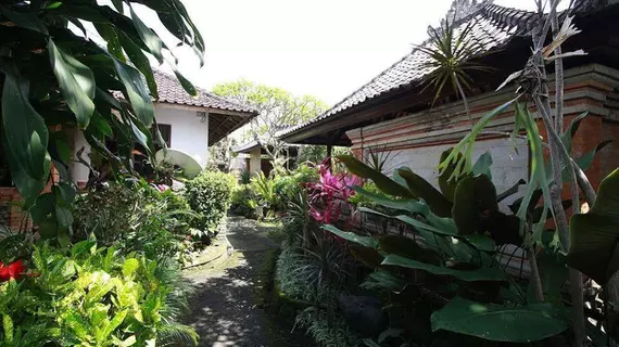 Citrus Tree B&B - Shana | Bali - Ubud - Ubud Kent Merkezi