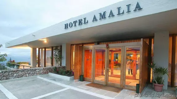 Amalia Hotel Delphi | Orta Yunanistan - Fokida (bölge) - Delphi