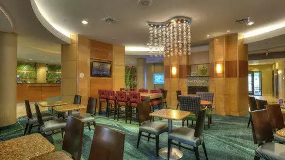 SpringHill Suites by Marriott - Tampa Brandon | Florida - Tampa (ve civarı) - Tampa