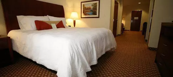 Hilton Garden Inn Elkhart | Indiana - South Bend (ve civarı) - Elkhart