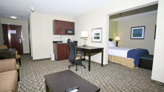 Holiday Inn Express Hotel & Suites Roseville | Michigan - Detroit (ve civarı) - Roseville