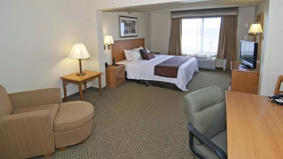 Best Western PLUS Coon Rapids Metro North | Minnesota - Minneapolis - St. Paul (ve civarı) - Coon Rapids