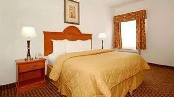 Comfort Inn Willow Springs | Missouri - West Plains (ve civarı) - Willow Springs