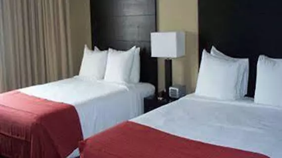 Radisson Hotel & Convention Center Edmonton | Alberta - Edmonton (ve civarı) - Edmonton - Güneydoğu Edmonton