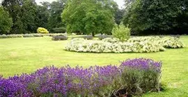 Thornham Hall | Suffolk (kontluk) - Eye - Thornham Magna