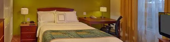 TownePlace Suites by Marriott Orlando East/UCF Area | Florida - Orlando (ve civarı) - Orlando