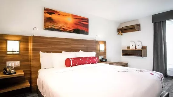 Hotel Elan | Alberta - Calgary (ve civarı) - Calgary - Beltline