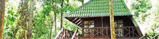 Tabin Wildlife Resort | Sabah - Lahad Datu