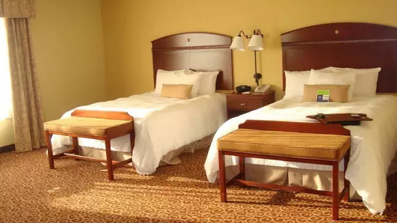 Hampton Inn & Suites Rochester-North | Minnesota - Rochester (ve civarı) - Rochester