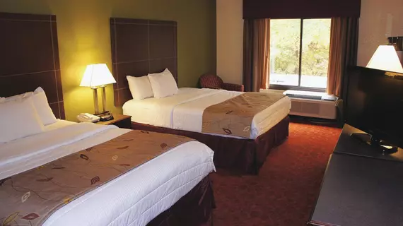 La Quinta Inn & Suites Pigeon Forge-Dollywood | Tennessee - Gatlinburg - Pigeon Forge (ve civarı) - Pigeon Forge