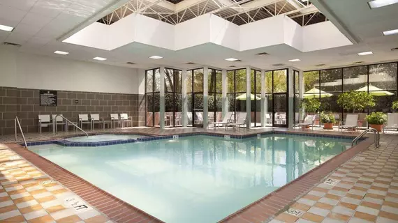 Embassy Suites Atlanta - Perimeter Center | Georgia - Atlanta (ve civarı) - Dunwoody