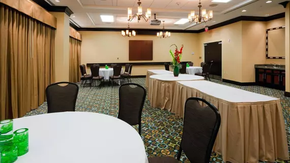 Holiday Inn Express Hotel & Suites Mobile Saraland | Alabama - Mobile (ve civarı) - Saraland