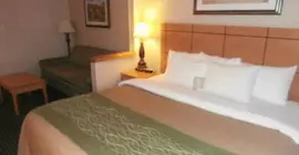 Comfort Inn Kokomo | Indiana - Kokomo (ve civarı) - Kokomo