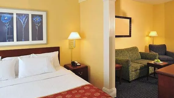 SpringHill Suites Baltimore BWI Airport | Maryland - Baltimore (ve civarı) - Linthicum Heights