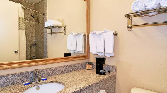 Best Western Auburn/Opelika Inn | Alabama - Auburn - Opelika (ve civarı) - Opelika