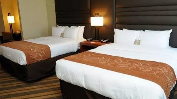 Comfort Suites | Louisiana - Baton Rouge (ve civarı) - Gonzales