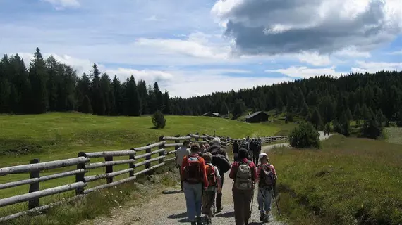 Residence Hauserhof | Trentino-Alto Adige - Güney Tirol (il) - Rodengo - Chifa