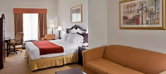 Holiday Inn Express Hotel & Suites Tampa Stadium-Airport | Florida - Tampa (ve civarı) - Tampa