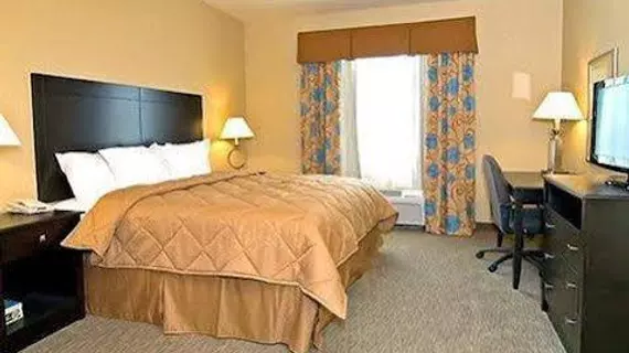 Comfort Inn & Suites Selma | Teksas - San Antonio (ve civarı) - Selma