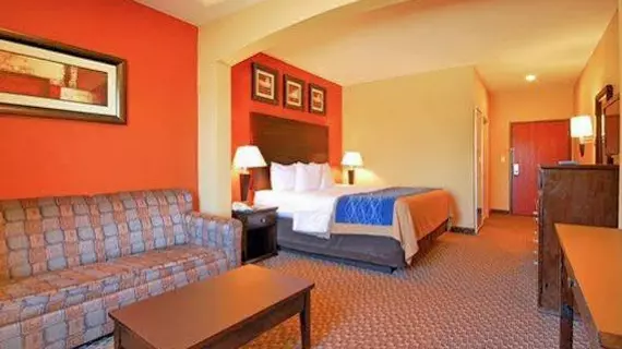 Comfort Inn Opelousas | Louisiana - Lafayette (ve civarı) - Opelousas