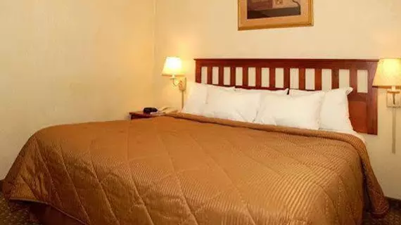 Comfort Inn Long Island City | New York - New York (ve civarı) - Queens - Long Island City