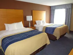 Comfort Inn Plymouth | Michigan - Detroit (ve civarı) - Plymouth