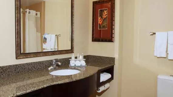 Holiday Inn Express Hotel & Suites Tampa -USF-Busch Gardens | Florida - Tampa (ve civarı) - Tampa