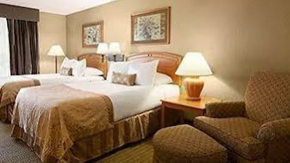 Wingate by Wyndham Little Rock | Arkansas - Little Rock (ve civarı) - Little Rock