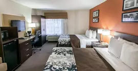 Sleep Inn DFW North | Teksas - Dallas (ve civarı) - Irving