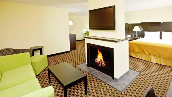 Holiday Inn Express Indianapolis - Southeast | Indiana - Indianapolis (ve civarı) - Indianapolis