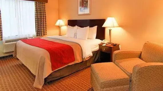 Comfort Inn Toms River | New Jersey - Lacey Township - Point Pleasant - Toms River (ve civarı) - Toms River