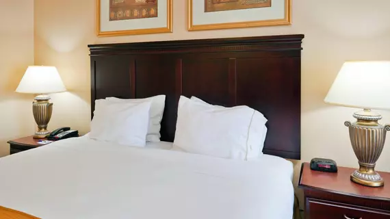 Holiday Inn Express Hotel & Suites Pell City | Alabama - Oxford (ve civarı) - Pell City