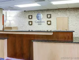 Comfort Inn Metro Airport Romulus | Michigan - Detroit (ve civarı) - Romulus