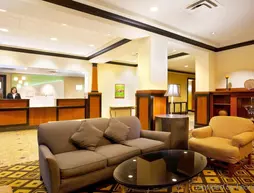 Holiday Inn Grand Rapids-Airport | Michigan - Grand Rapids (ve civarı) - Grand Rapids