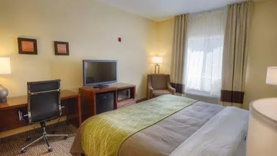 Americas Best Value Inn Fort Myers | Florida - Fort Myers (ve civarı) - Fort Myers