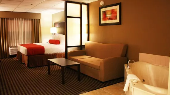 Best Western Plus West Akron Inn & Suites | Ohio - Summit İlçesi - Akron (ve civarı) - Akron - Montrose