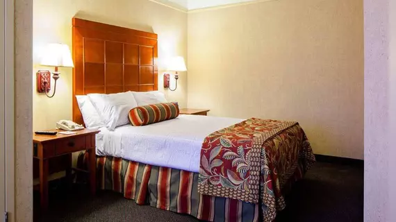 Embassy Suites San Antonio - International Airport | Teksas - San Antonio (ve civarı) - San Antonio - Kuzey San Antonio - SAT Havalimanı