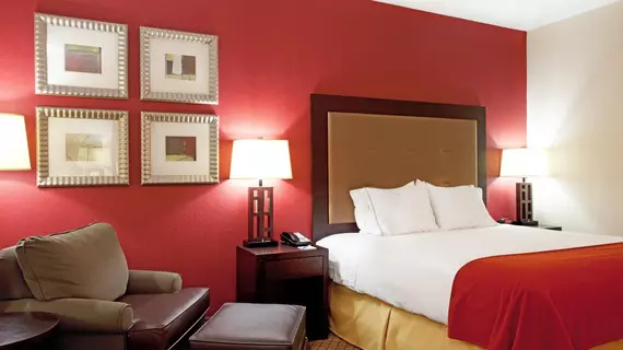 Holiday Inn Express Hotel & Suites Lafayette South | Louisiana - Lafayette (ve civarı) - Lafayette