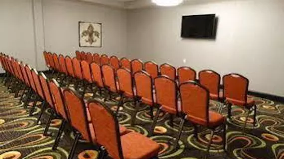 Holiday Inn Covington | Louisiana - Hammond (ve civarı) - Covington