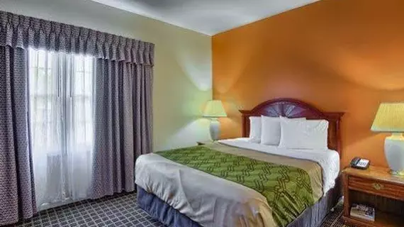 Econo Lodge Inn & Suites | Michigan - Grand Rapids (ve civarı) - Grand Rapids