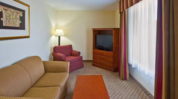 Holiday Inn Express Hotel & Suites Tampa-Fairgrounds-Casino | Florida - Tampa (ve civarı) - Tampa