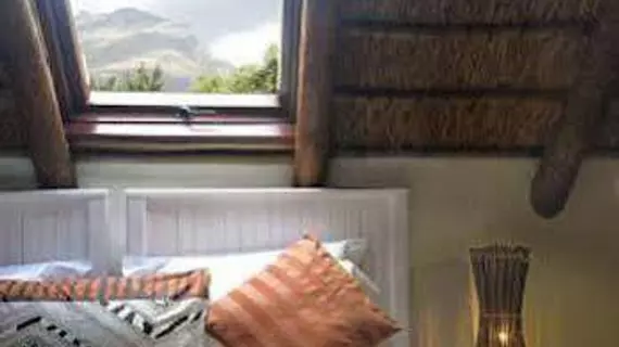 The Beautiful South Guesthouse | Western Cape (il) - West Coast DC - Drakenstein - Cape Town (ve civarı) - Stellenbosch