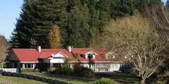 Redwood Lodge