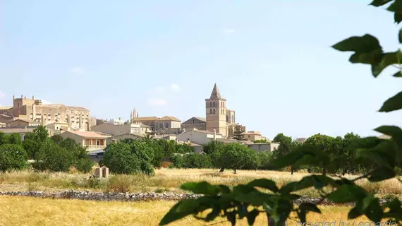 Son Cleda | Balearic Adaları - Mayorka Adası - Pla de Mallorca