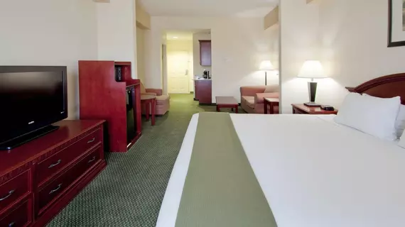 Holiday Inn Express West Palm Beach Metrocentre | Florida - Palm Beach - Batı Palm Beach (ve civarı) - West Palm Beach